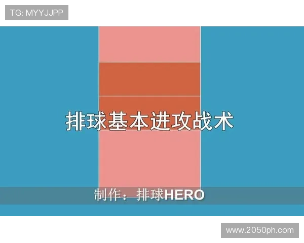 武汉排球队挑战赛战术解析与表现评估全面分析
