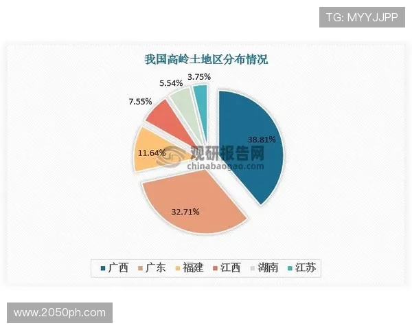 武汉排球队实力分析与发展前景的深度探讨与展望 武汉排球队实力分析与发展前景的深度探讨与展望