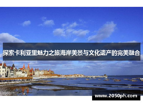 探索卡利亚里魅力之旅海岸美景与文化遗产的完美融合